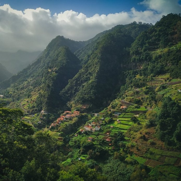 zdjęcie dekoracyjne