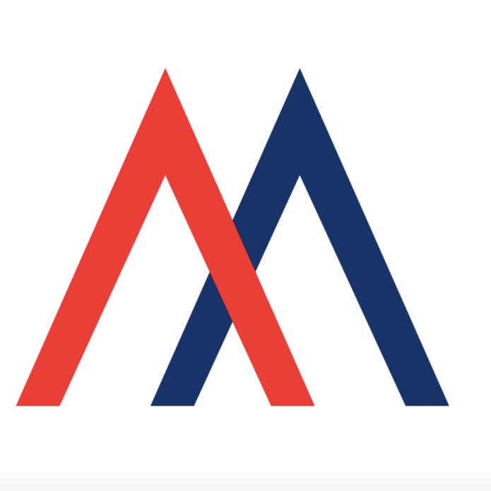 krótkie logo Top Minds