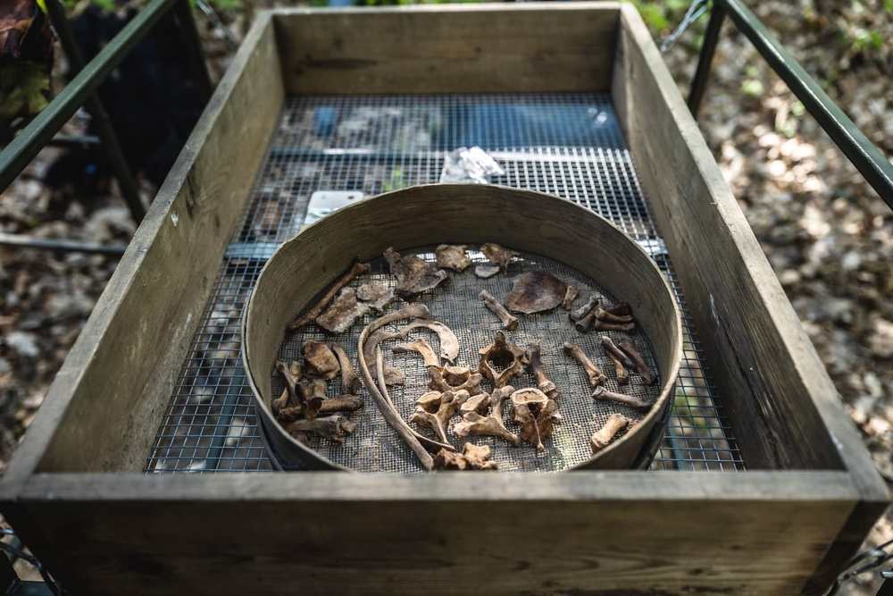 Zdjęcia z prac archeologicznych