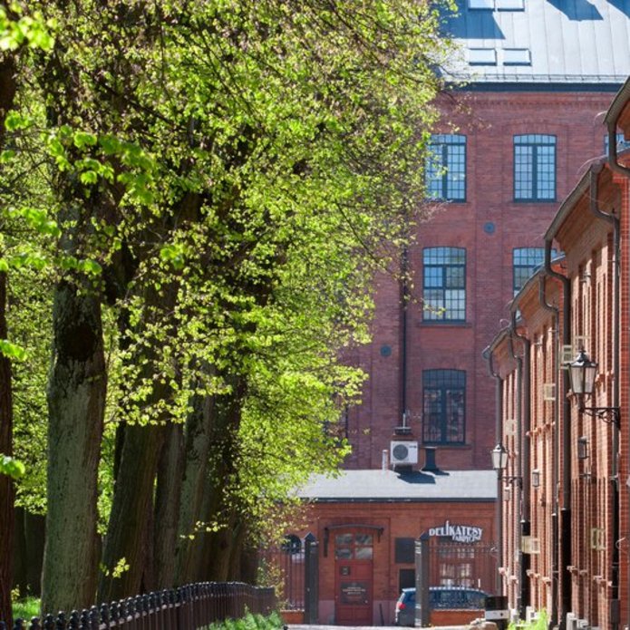 a decorative element: trees in the city