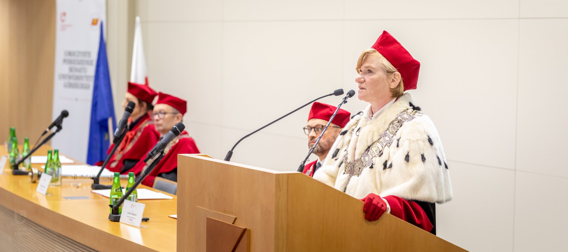 The UL Rector at the lectern