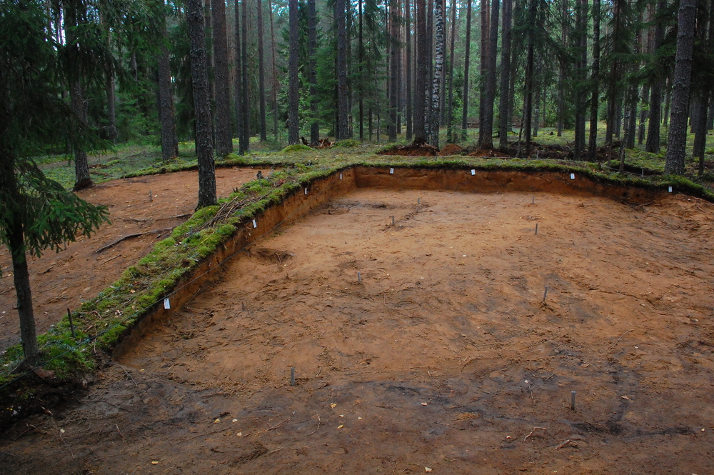 teren objęty badaniami