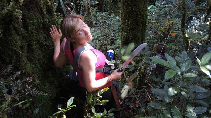 badaczka w lesie tropikalnym