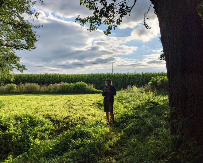 Dr Edyta Łaszkiewicz surrounded by the greenery