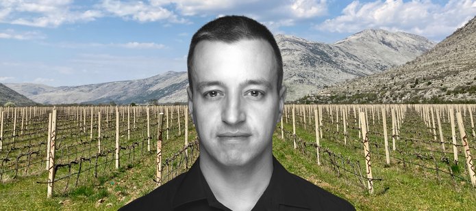 Dr Marek Majer na tle pola krótko przyciętych winorośli. W oddali góry.