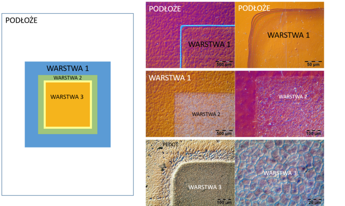 Badania (PNG) Badania