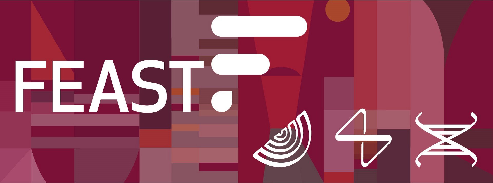 logo of the project