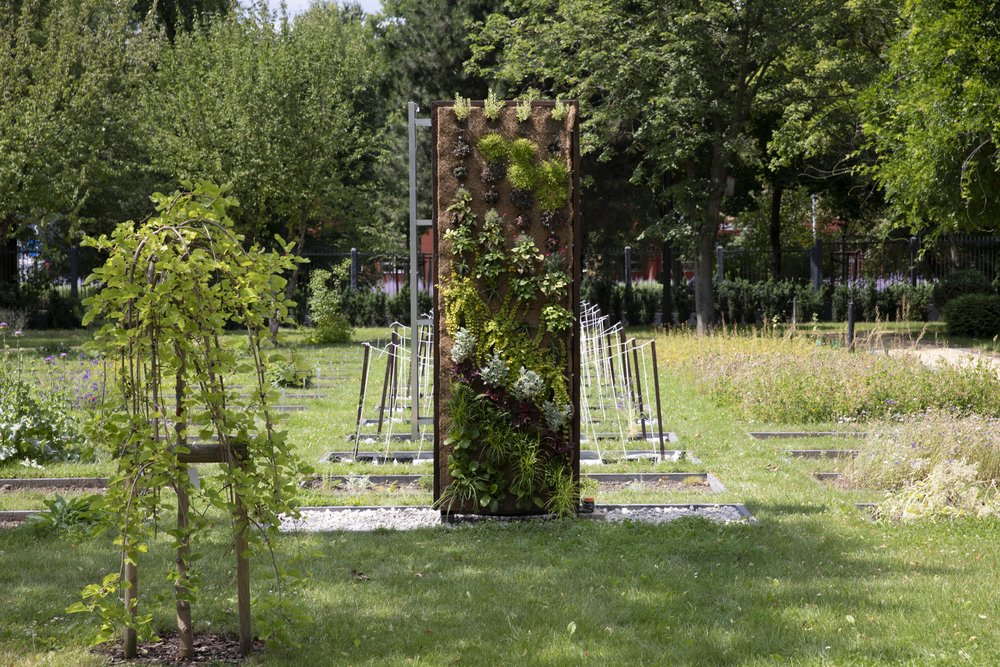 Zielona ściana porośnięta roślinami, stojąca w ogrodzie