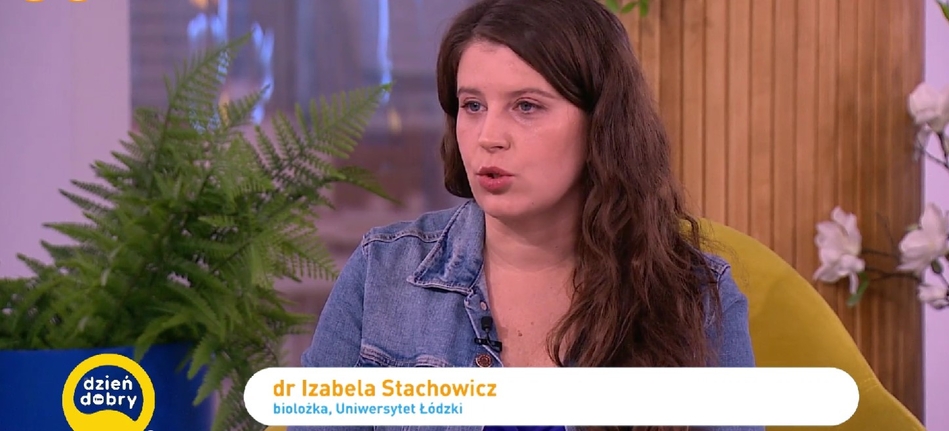 Izabela Stachowicz w DD TVN
