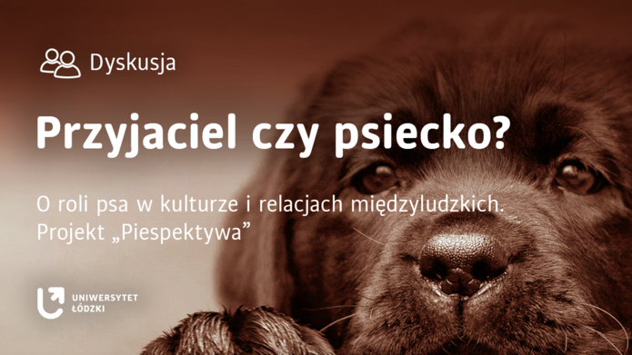 Na zdjęciu jest pyszczek psa - szczeniaka maści czarnej