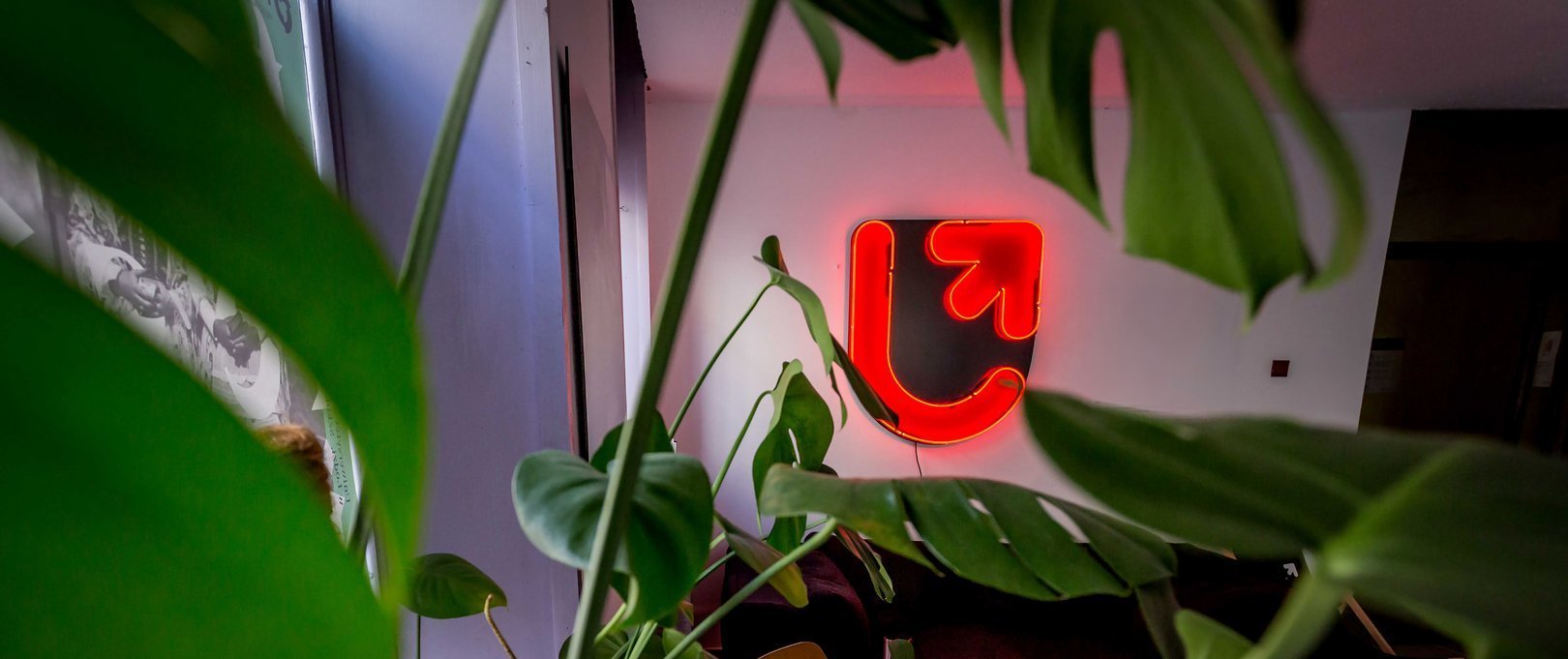 Neon UŁ