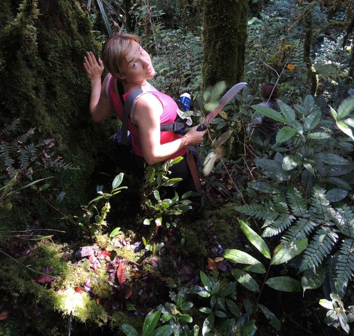 [Translate to English:] Profesor Kolanowska pośród egzotycznej roślinności