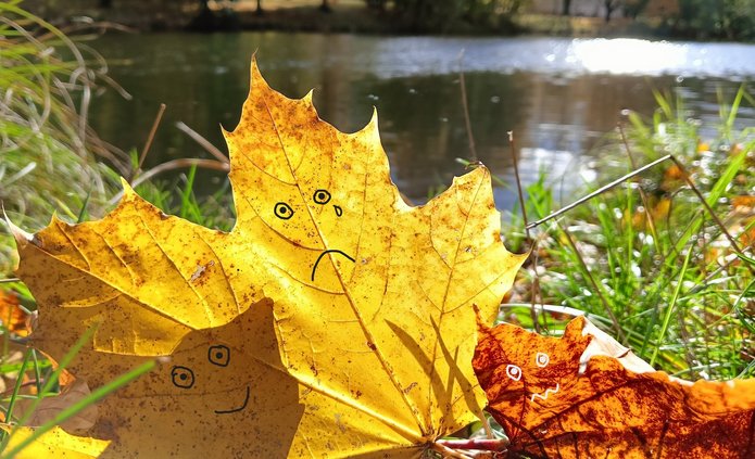 Zdjęcie liści jesiennych z grafikami przedstawiającymi emocje radości, smutku, lęku