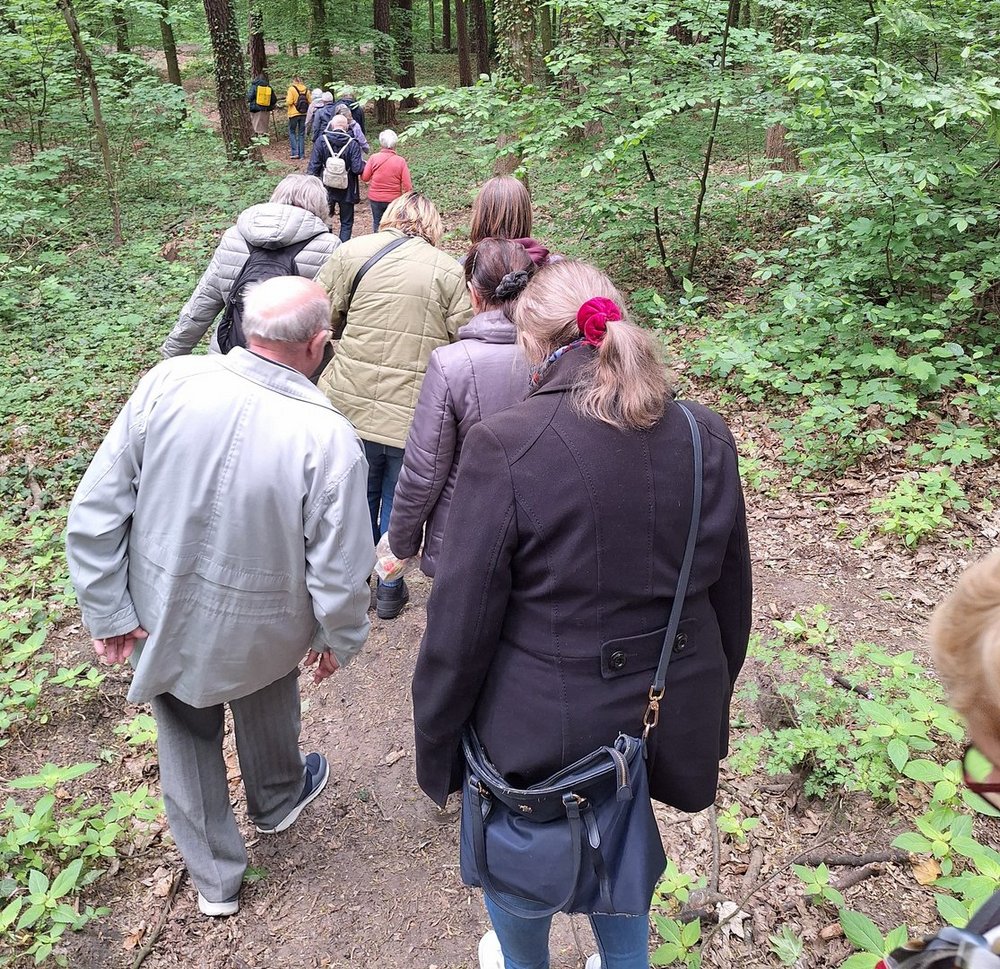 Grupa seniorów na leśnym spacerze