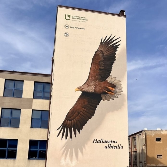 Mural painting of a white-tailed eagle at the University of Lodz's Faculty of geographical Sciences