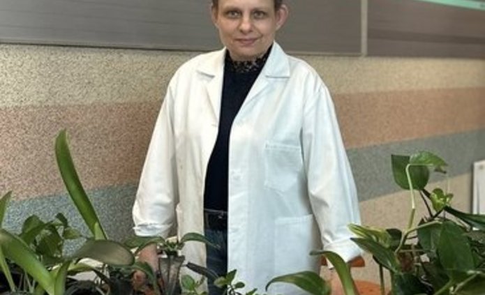 Rośliny na kiermasz, zdjęcie