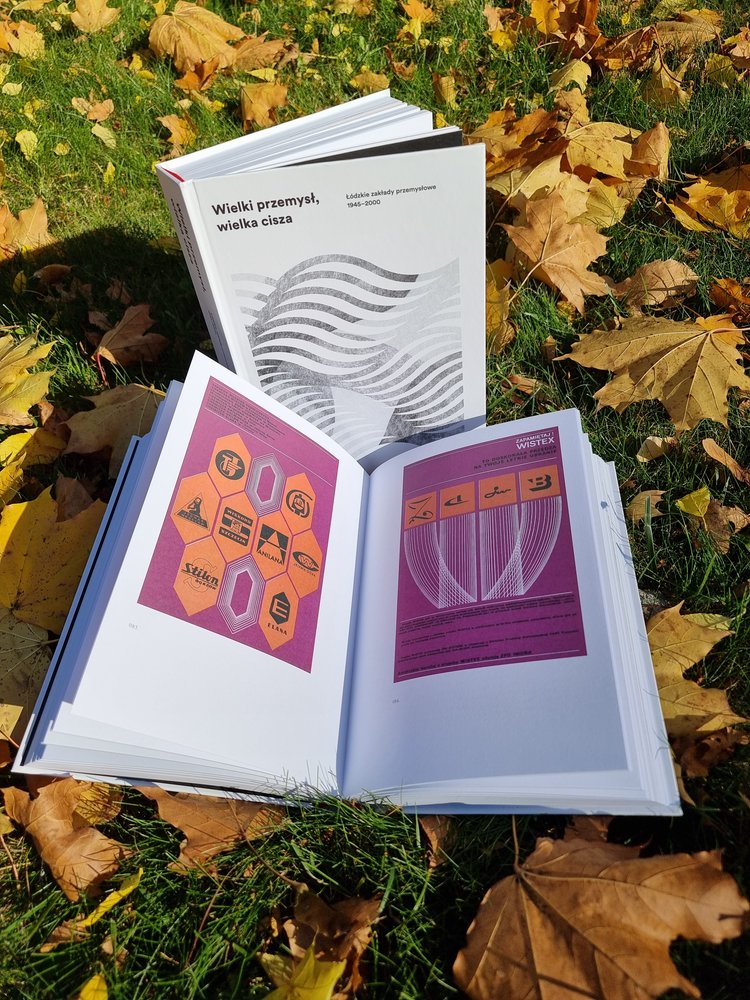 otwarta książka leżąca na trawie pokrytej żółtymi liśćmi