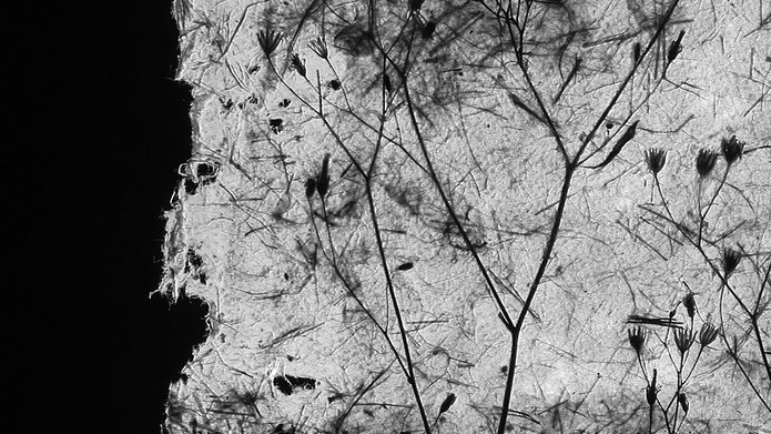 papier czerpany Zofii Bisiak