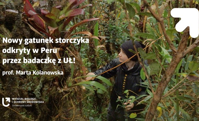 A graphic illustrating the text