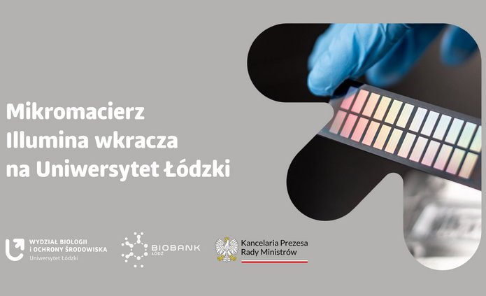 a graphic illustrating the text