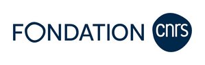 Logo CNRS