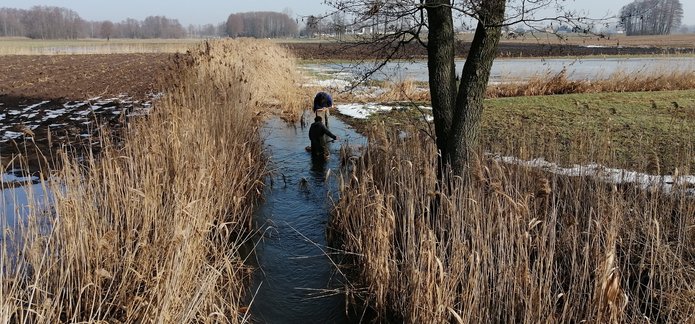 Research in the Grabia River stream