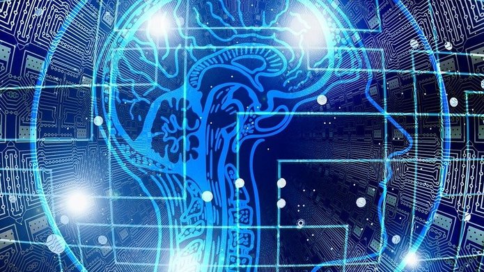 Visualization of a human brain