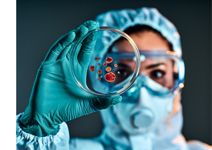 a graphic of the project