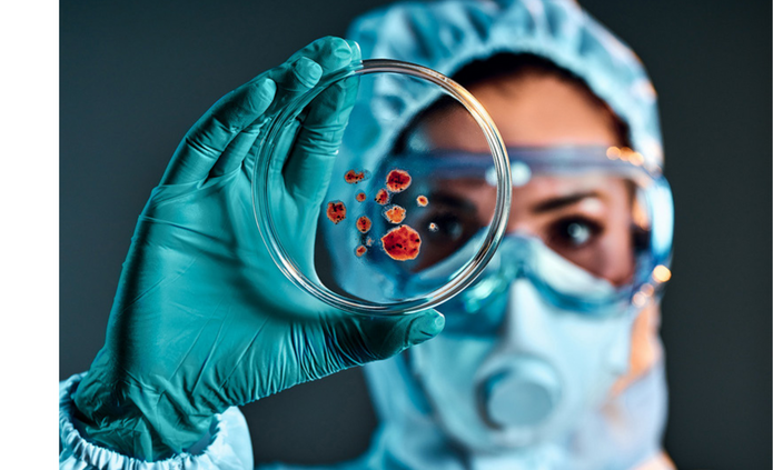 a graphic of the project