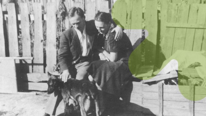 a graphic illustrating the story