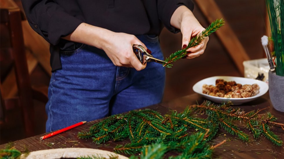 baner_www_str_glowna_konkurs_foto_wbios