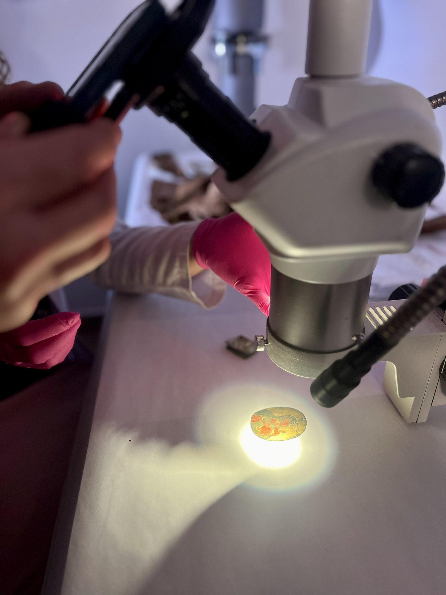 archeolog z UŁ podczas badania próbek pod mikroskopem