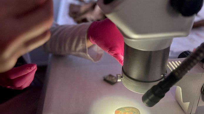 archaeologist from the University of Lodz while examining samples under a microscope