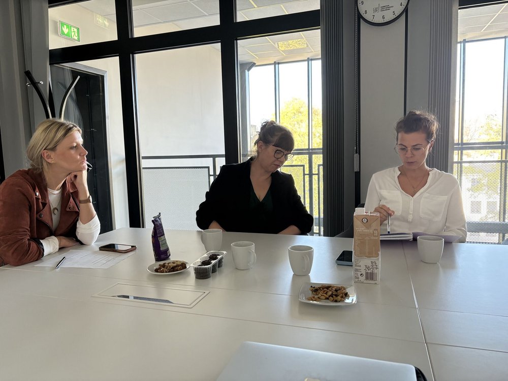 Zespół w Fabryce Aktywności Miejskich od lewejŁ Karolina Pawlik, Celina Maciejewska, Marta Konfederak-Paczuska.