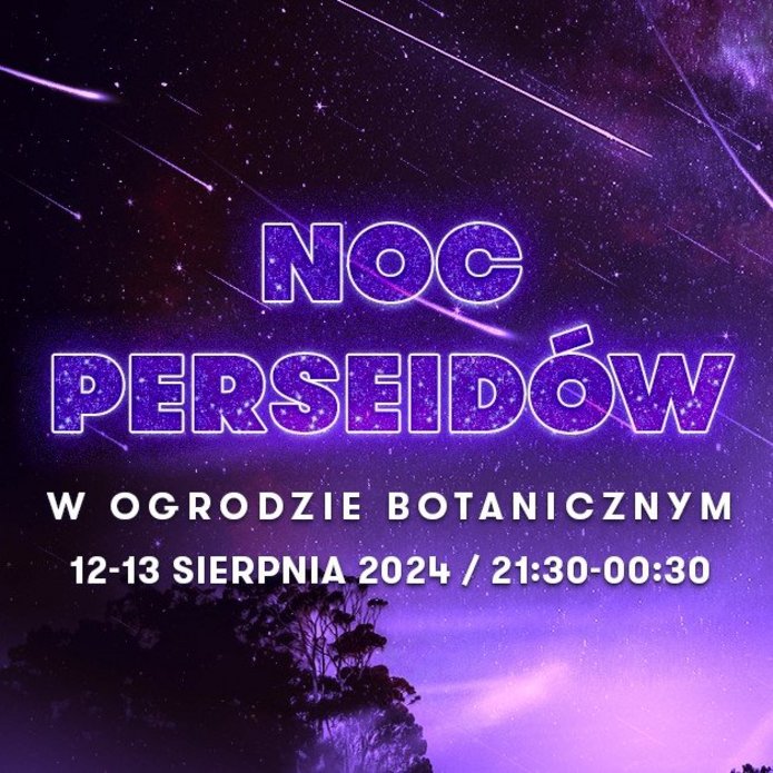 Graphic advertising the Perseids night