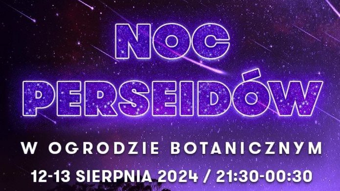 Graphic advertising the Perseids night