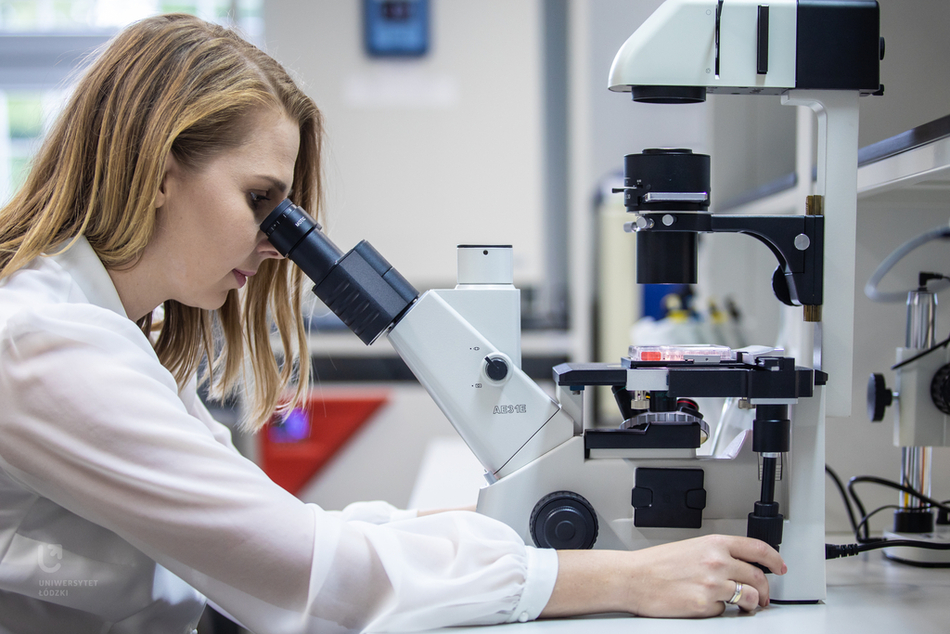 Biocoposites (a graphic) Biocoposites (a graphic)