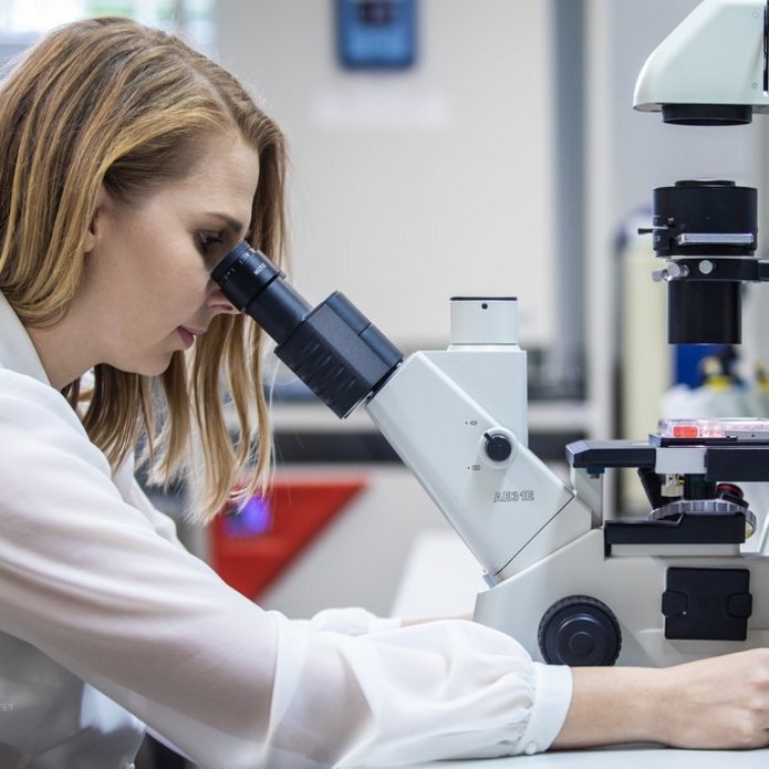 Biokompozyty grafika