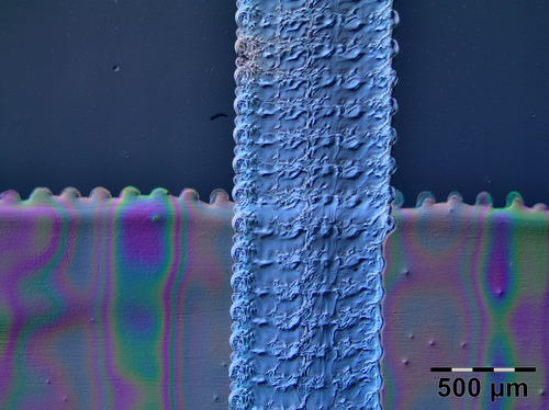 Podsumowanie (PNG) Podsumowanie