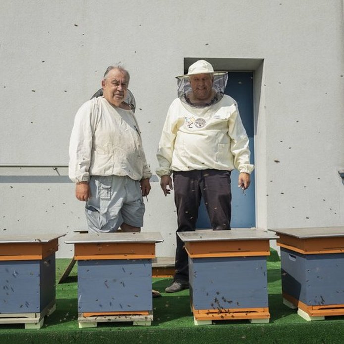 pszczelarze stojący przy ulach