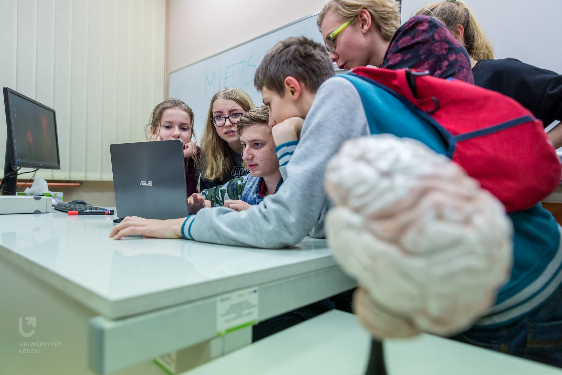 Children in a school classroom watching something on a computer