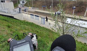 zdjęcie z nagrań terenowych