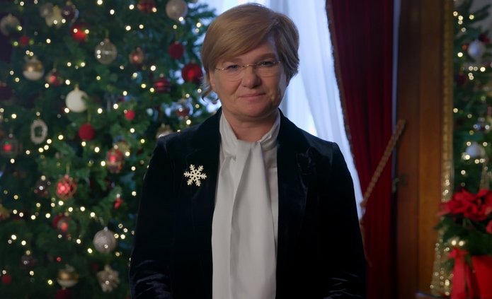 a portrait photo of the UL Rector with a Christmas tree in the background