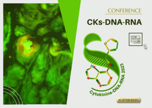 Cytokininy