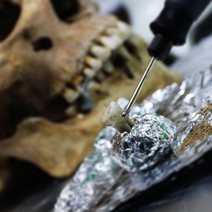 Wikingowie z Lutomierska - grafika