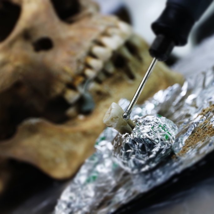 Wikingowie z Lutomierska - grafika