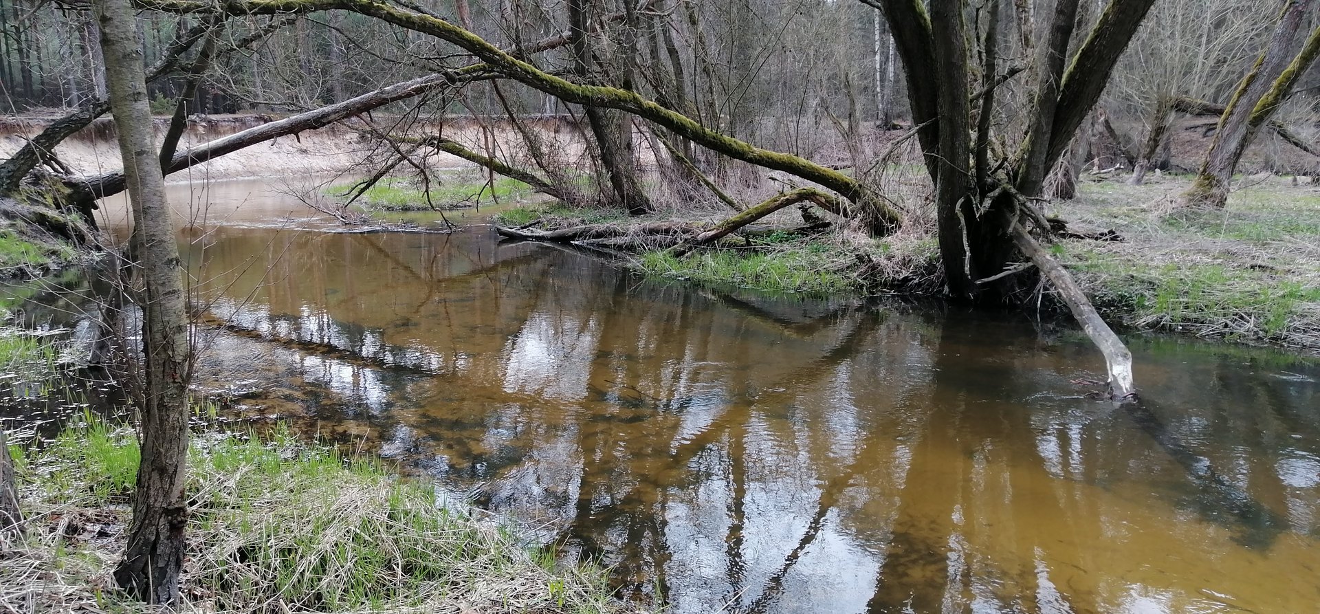 Zbliżenie na zakole rzeki Grabi 