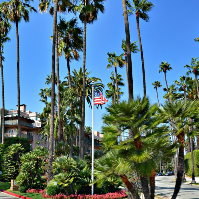 Grafika promująca stypendium Fullbright