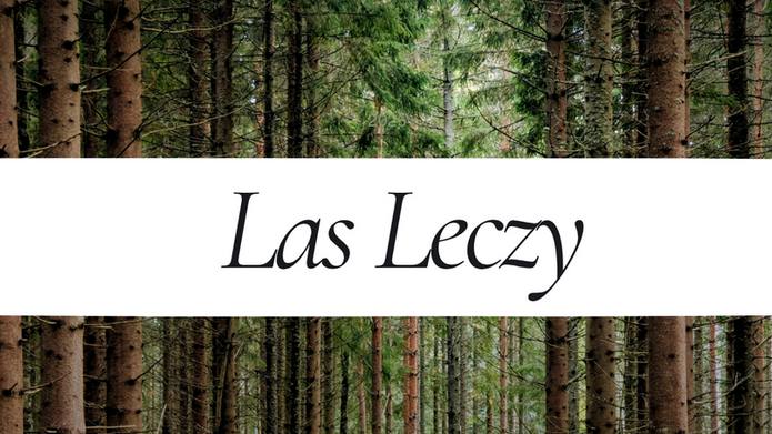 Zdjęcie lasu z napisem "Las Leczy"