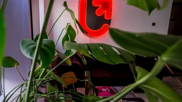 A photo depicting a room with a neon sign with the UniLodz logo and potted plants